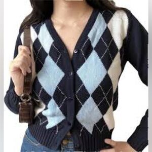 Brandy Melville John Galt blue argyle pullover vneck sweater.